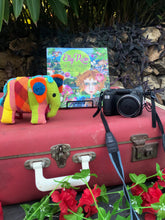 Load image into Gallery viewer, The book Elly Rose in Sri Lanka written and illustrated by Maggie O'Hara sitting on a red suitcase with a camera and baby elephant