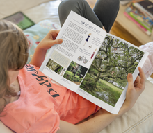 Load image into Gallery viewer, Through the Door to Sri Lanka. |Maggie O'HARA